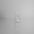 Glass Jug